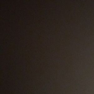 Meet your Posher, Wilfredo